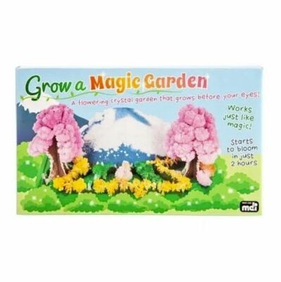 Grow A Magic Garden Crystal Kit