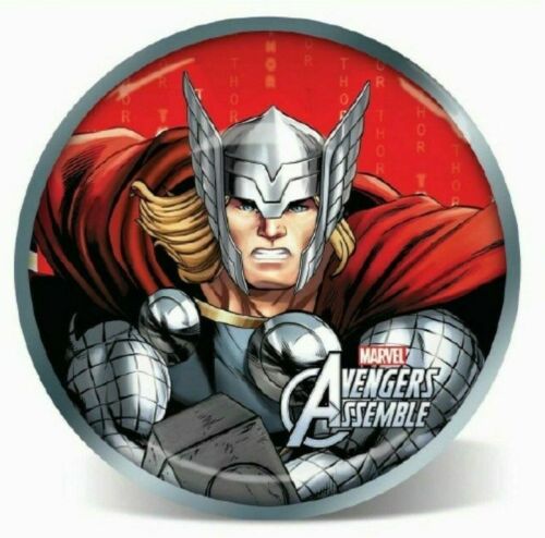 Thor Superhero  Plastic Melamine Plate Picnic Home Ware 