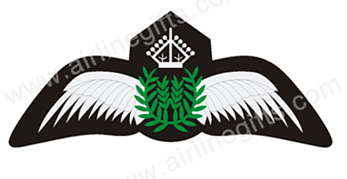 Civil Pilot Wings Embroidered Cloth Patch Applique