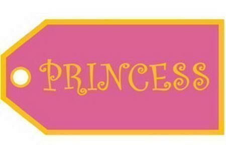 Princess Girls Luggage Bag Tag