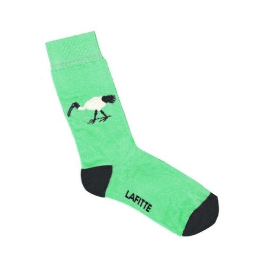 Ibis Lafitte Patterned Socks Combed Cotton Mens Size AU 6-11