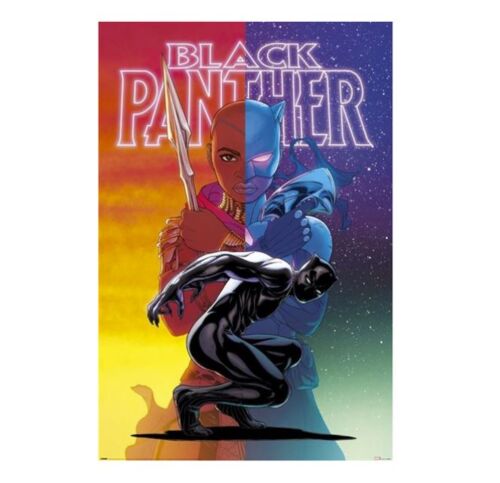 Black Panther Wakanda Forever Colour Split Rolled Poster Print Decorative Wall Hanging 610mm x 915mm Slot #12