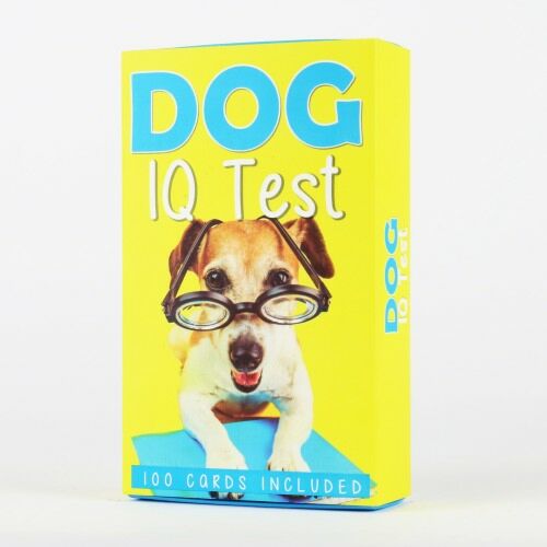 Dog IQ Test To See If Your Dog Is The Smartest In The Pack 100 Activities For Dogs