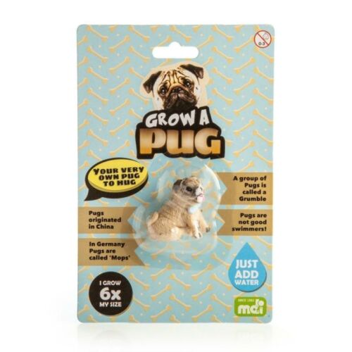 Grow A Pug Novelty Gift Idea