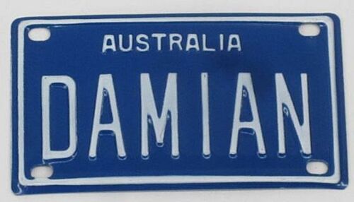 Damian Novelty Mini Name Australian Tin License Plate