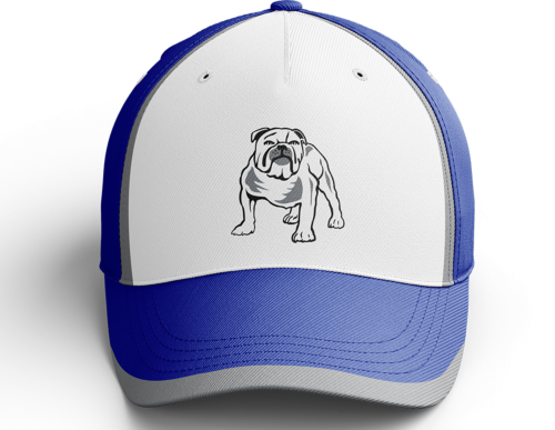 Canterbury Bulldogs NRL Team Coloured Logo Classic Adjustable Velcro Back Adult One Size Hat Cap