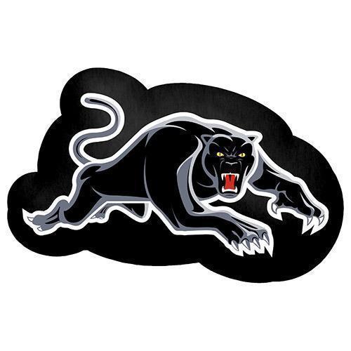 Panthers Logo Cushion